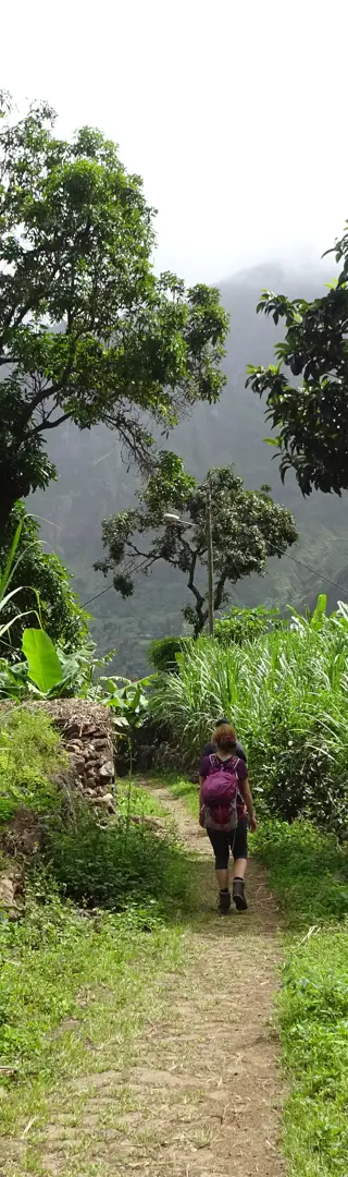 Wohnen in den Zuckerrohrplantagen